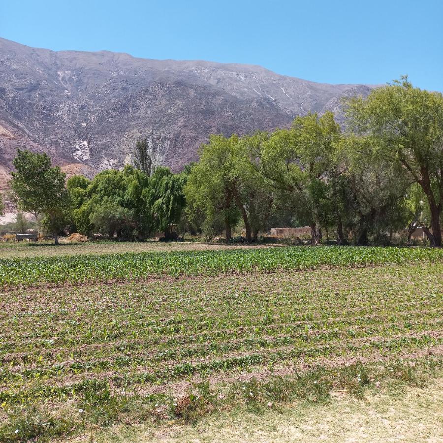 Casa Munay Maimará 외부 사진